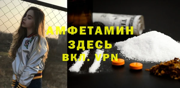 мдпв Ладушкин