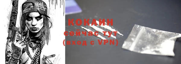 мдпв Ладушкин