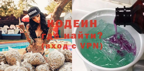 мдпв Ладушкин