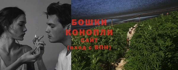 мдпв Ладушкин