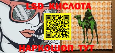 трава Бийск