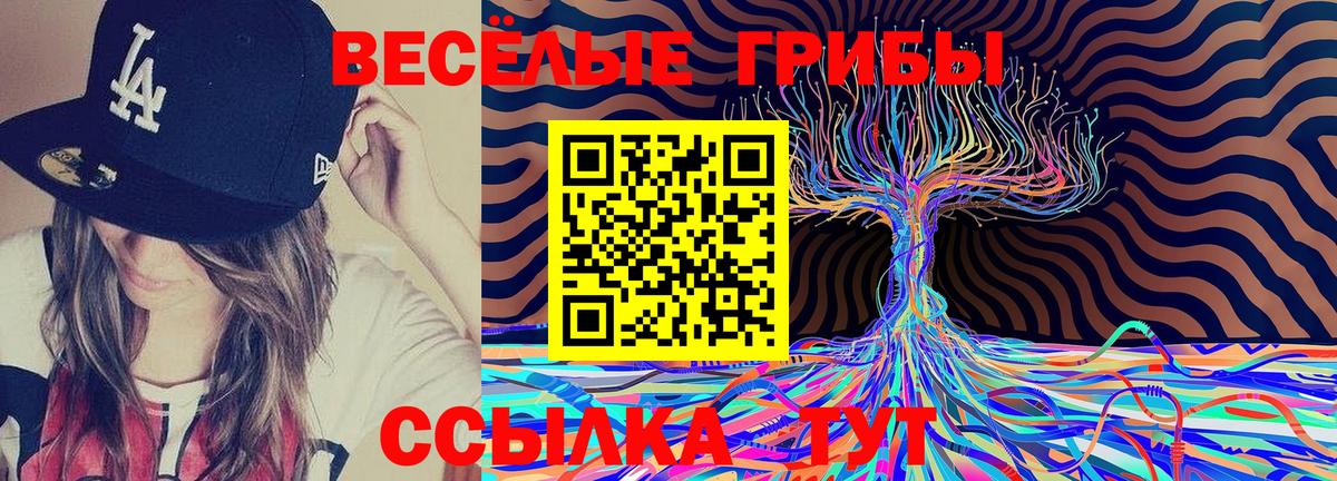 Галлюциногенные грибы GOLDEN TEACHER  Галлюциногенные грибы Magic Shrooms  Вход с VPN  Нижнеудинск 