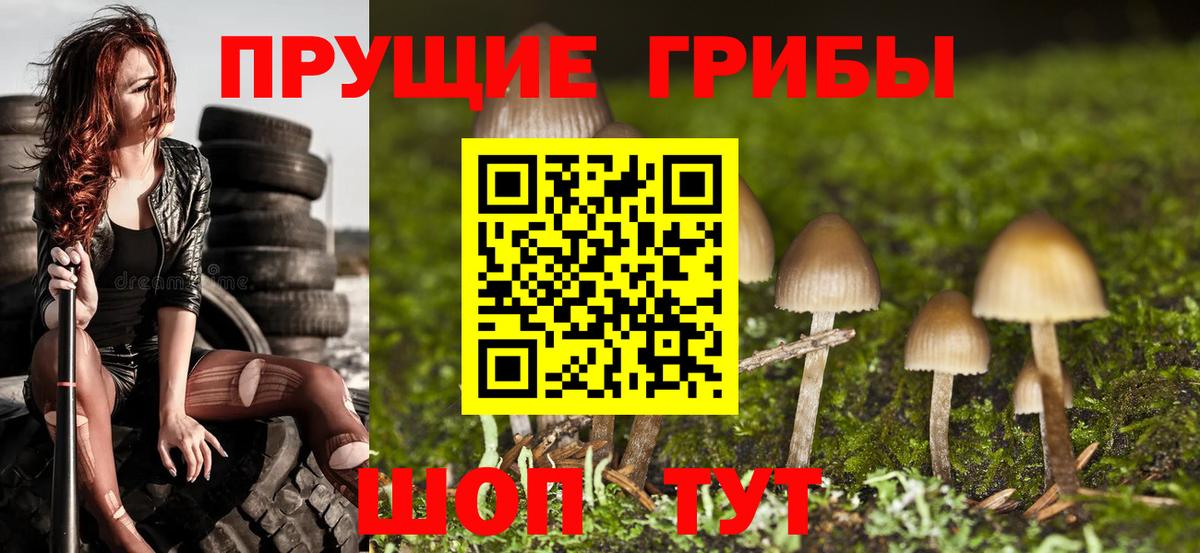 Нижнеудинск  CBD масло  Кислота  Вход с VPN  Cocaine  МДМА  Мяу-Мяу  МЕТ  Гарик  Мефедрон  Alpha-PVP  Метадон  Канабис 
